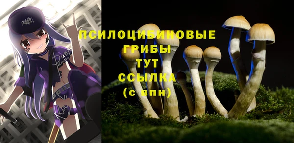 Альфа ПВП Абаза